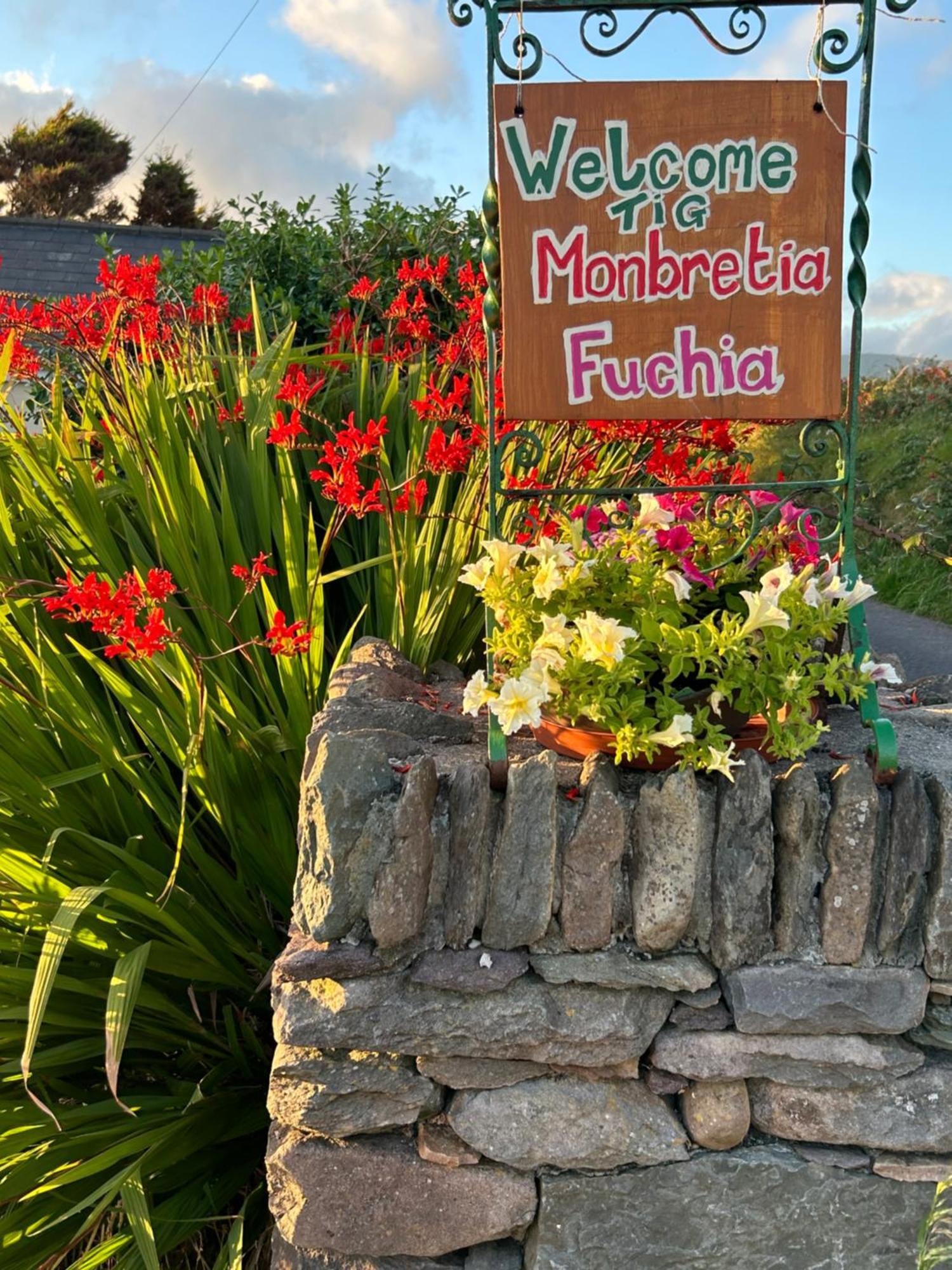 Tig Monbretia Apartman Dingle Kültér fotó